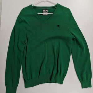 Express Green LS Cotton Knit Sweater